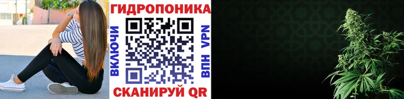 Конопля план  Купить закладки  Сарапул 